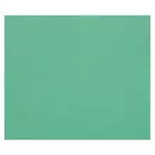 Цветная бумага 500*650 мм. Clairefontaine "Tulipe" 25 л. 160г./м2 темно-зеленый легкое зерно 100%целлюлоза