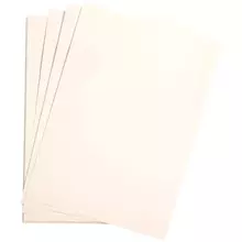 Цветная бумага 500*650 мм. Clairefontaine "Etival color" 24 л. 160г./м2 белый легкое зерно 30%хлопка 70%целлюлоза