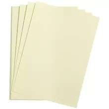 Цветная бумага 500*650 мм, Clairefontaine "Etival color", 24 л. 160 г/м2, бледно-зеленый, легкое зерно, 30%хлопка, 70%целлюлоза