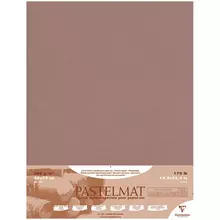 Бумага для пастели 5 л. 500*700 мм. Clairefontaine "Pastelmat" 360г./м2 бархат коричневый