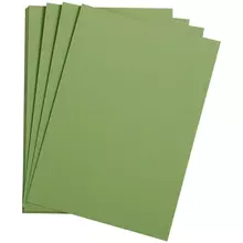 Цветная бумага 500*650 мм. Clairefontaine "Etival color" 24 л. 160г./м2 зеленое яблоко легкое зерно 30%хлопка 70%целлюлоза