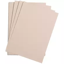Цветная бумага 500*650 мм. Clairefontaine "Etival color" 24 л. 160г./м2 розово-серый легкое зерно 30%хлопка 70%целлюлоза