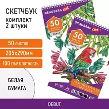 Скетчбук-блокнот для рисования белая бумага 100г./м2 205х290 мм. 50 л. комплект 2 шт. Brauberg