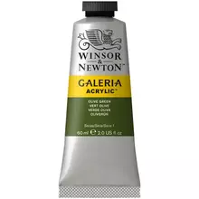 Краска акриловая художественная Winsor&Newton "Galeria" 60 мл. туба зеленый оливковый