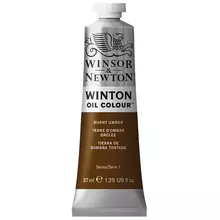 Краска масляная художественная Winsor&Newton "Winton", 37 мл. туба, жженая умбра