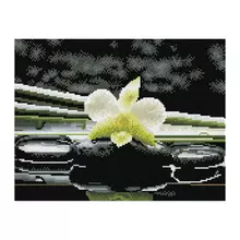 Алмазная мозаика Три Совы "Цветок орхидеи" 30*40 см. холст на деревянном подрамнике картонная коробка с пластиковой ручкой
