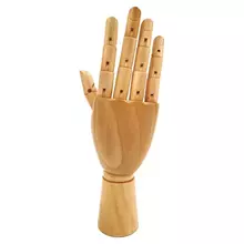 Манекен художественный "рука" Гамма "Студия", мужская правая, деревянный, 30 см