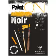 Скетчбук - альбом для смешанных техник 20 л. А3 Clairefontaine "Paint ON Noir" на склейке черный 250г./м2
