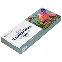 Краски темперные Мастер-Класс "Колористика", 12 цветов, 18 мл/туба, картон