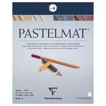 Альбом для пастели 12 л. 240*300 мм. на склейке Clairefontaine "Pastelmat" 360г./м2 бархат цв. блок