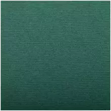 Бумага для пастели 25 л. 500*650 мм. Clairefontaine "Ingres" 130г./м2 верже хлопок темно-зеленый