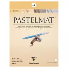 Альбом для пастели, 12 л. 300*400 мм. на склейке Clairefontaine "Pastelmat", 360г./м2, бархат, цв. блок