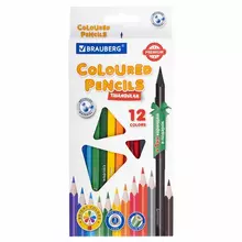 Карандаши цветные пластиковые Brauberg Premium 12 цветов + 1 чернографитный карандаш трехгранный корпус грифель 3 мм.