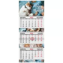 Календарь квартальный на 2024 г. 3 блока, 3 гребня, с бегунком, мелованная бумага, Extra, Brauberg, "Sleepy cat" 