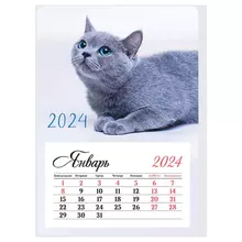 Календарь отрывной на магните 95*135 мм. склейка OfficeSpace "Mono - Котик" 2024 г.