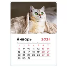 Календарь отрывной на магните 130*180 мм. склейка OfficeSpace "Mono - Cute cat" 2024 г.