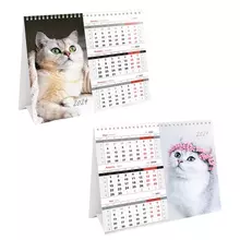 Календарь-домик настольный OfficeSpace "Mono Premium. Cats" 2024 г.