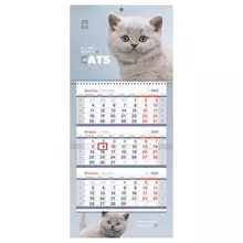 Календарь квартальный 1 бл. на 1 гр. OfficeSpace Mini premium "Пушистый котенок" с бегунком 2024 г.