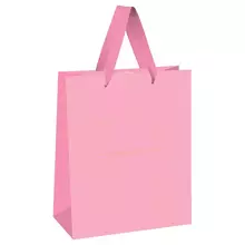 Пакет подарочный 33*42*12 см. Meshu "Monocolor. Pink" отд. фольгой матовая ламинация