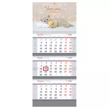 Календарь квартальный 3 бл. на 3 гр. OfficeSpace Standard "Сute kitten" с бегунком 2024 г.