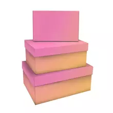 Набор прямоугольных коробок 3в1, Meshu "Yellow-pink gradient", (19*12*7,5-15*10*5 см)