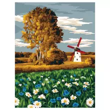 Картина по номерам на холсте Три Совы "Ромашковое поле" 30*40 с акриловыми красками и кистями