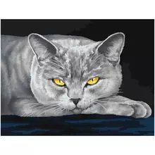 Картина по номерам на холсте Три Совы "Серый кот" 30*40 с акриловыми красками и кистями