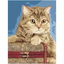 Картина по номерам на холсте Три Совы "Кошка" 40*50 с акриловыми красками и кистями