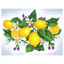 Картина по номерам на холсте Три Совы "Лимоны" 40*50 с акриловыми красками и кистями
