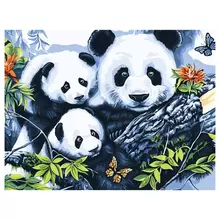 Картина по номерам на холсте Три Совы "Панды" 40*50 с акриловыми красками и кистями