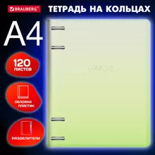 Тетрадь на кольцах БОЛЬШАЯ 305х230 мм. А4 120 л. пластик с разделителями Brauberg Зеленый