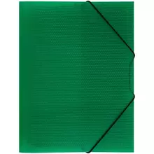 Папка на резинке СТАММ "Кристалл" А4 500 мкм. пластик зеленая