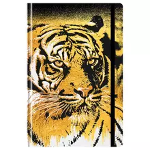 Ежедневник недатированный А5, 128 л. 7БЦ, BG "Golden tiger", матовая ламинация, на резинке