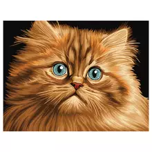 Картина по номерам на картоне ТРИ СОВЫ "Пушистый котенок" 30*40 с акриловыми красками и кистями