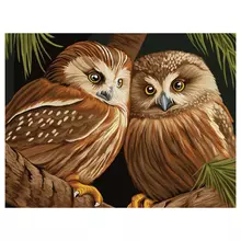 Картина по номерам на холсте ТРИ СОВЫ "Две совы" 40*50 с акриловыми красками и кистями