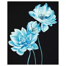 Картина по номерам на черном холсте ТРИ СОВЫ "Голубые цветы" 40*50 c акриловыми красками и кистями