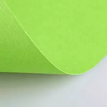 Бумага (картон) для творчества (1 лист) Fabriano Elle Erre А2+ 500х700 мм, 220 г/м2, светло-зеленый