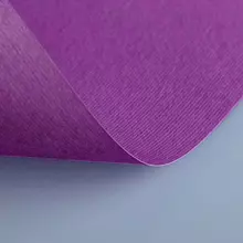 Бумага (картон) для творчества (1 лист) Fabriano Elle Erre А2+ 500х700 мм, 220 г/м2, фиолетовый