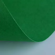 Бумага (картон) для творчества, 1 лист, FABRIANO "Elle Erre", А2+, 500х700 мм, 220 г/м2, темно-зеленый