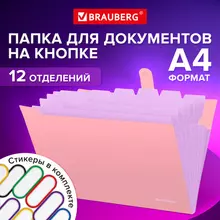 Папка-органайзер на кнопке 12 отделений Brauberg "Extra" А4 персиковая с лавандовым