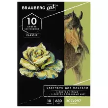 Альбом для пастели картон черный+ОЛИВКОВЫЙ 630г./м2 207x297 мм. 5+5 листов Brauberg Art