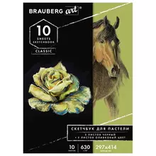 Альбом для пастели картон черный+ОЛИВКОВЫЙ 630г./м2 297x414 мм. 5+5 листов Brauberg Art