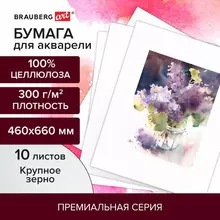 Бумага для акварели 300г./м2 460x660 мм. крупное зерно 10 листов Brauberg Art Premiere