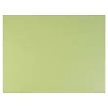 Бумага для пастели (1 лист) FABRIANO Tiziano А2+ (500х650 мм.) 160г./м2, салатовый теплый