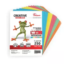 Бумага цветная Creative color А4 80г./м2 250 л. (5 цветов х 50 л.) микс интенсив