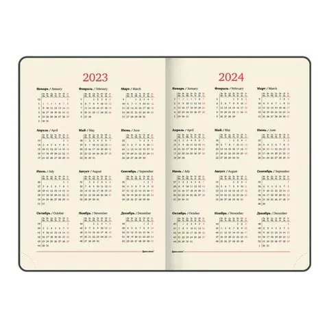 Ежедневник датированный 2023 большой формат 210х297 мм. А4 Brauberg "Iguana" красный
