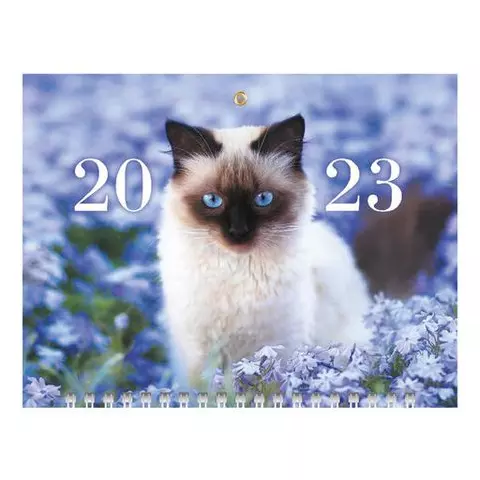 Календарь квартальный с бегунком 2023 г. 3 блока 3 гребня МИНИ "Кот круглый год" Hatber