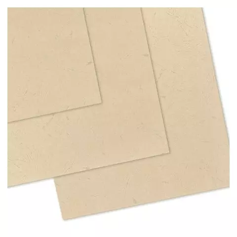 Обложки картонные для переплета А4 комплект 100 шт. тиснение под кожу 230г./м2 слоновая кость Brauberg