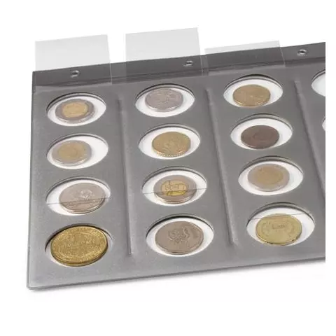 Планшет-вкладыш А4 на 20 монет ПВХ с перфорацией с картонным разделителем для записей ДПС