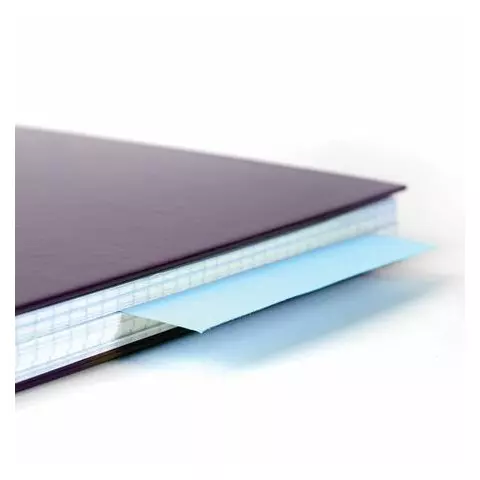 Разделители листов (полосы 240х105 мм.) картонные комплект 100 шт. голубые Brauberg